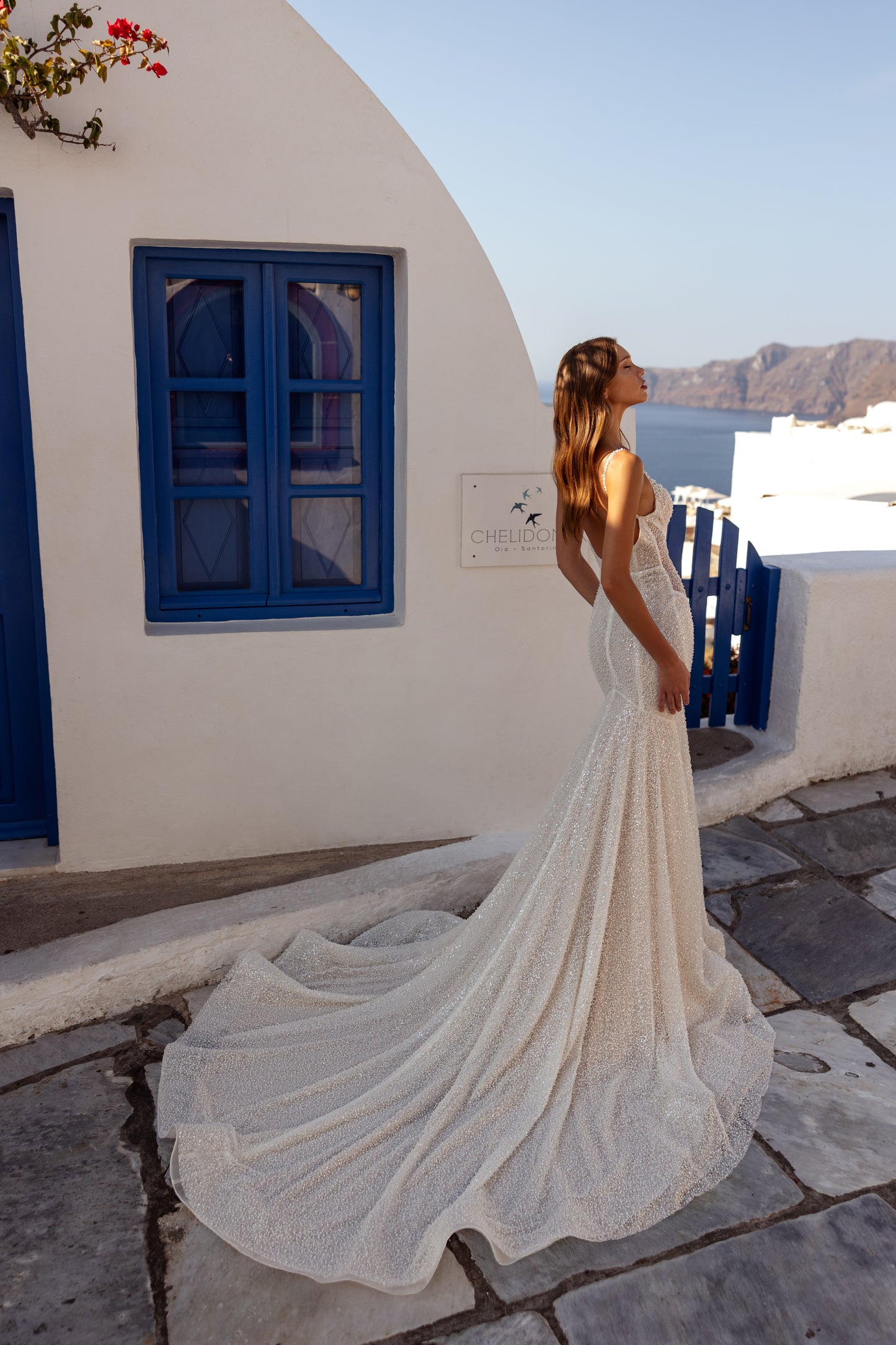 Mermaid Fit and Flare Wedding Dress with Open Back and Lace