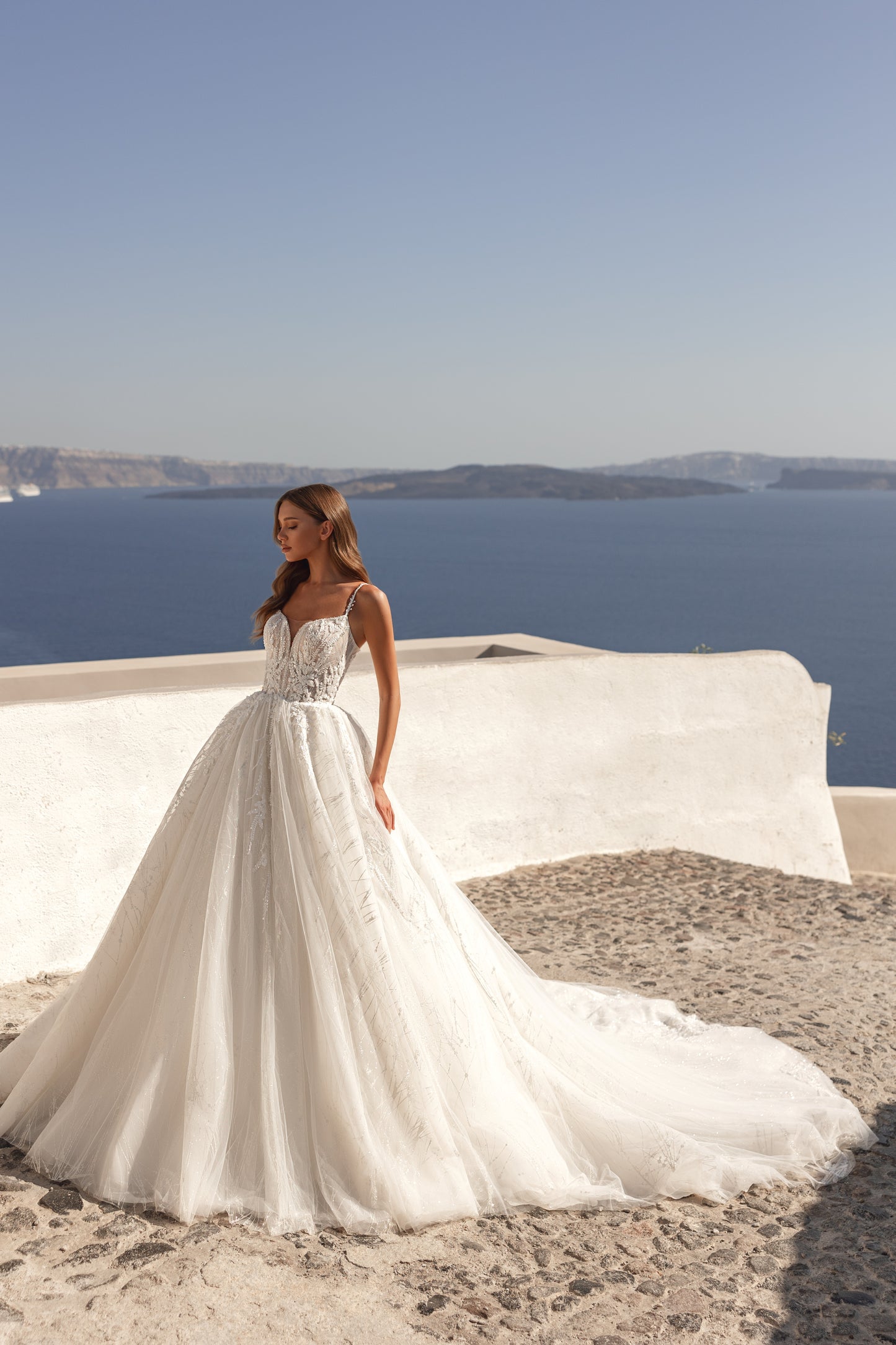 Princess A-line tulle wedding dress with cathedral train