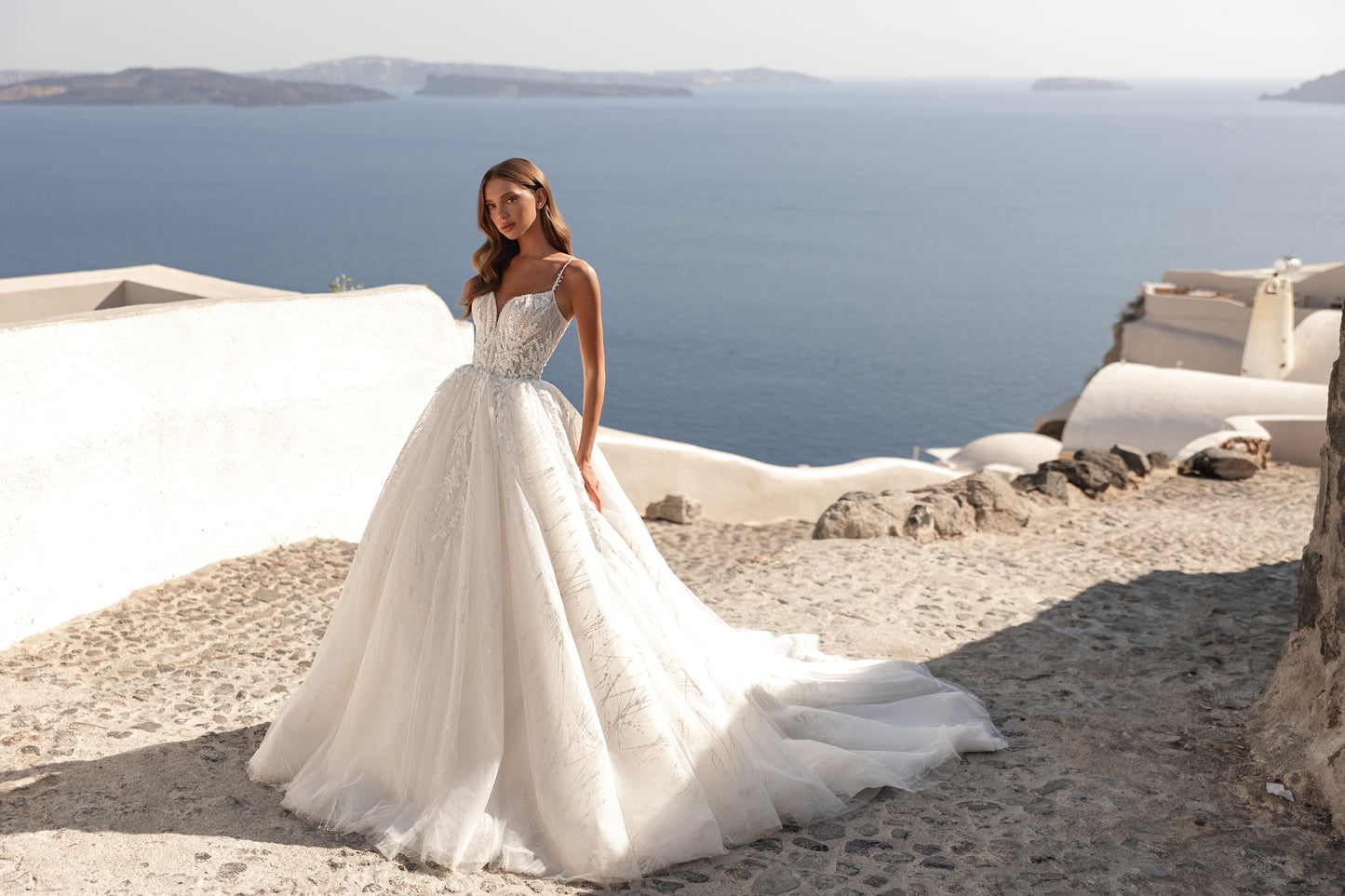 Princess A-line tulle wedding dress with cathedral train