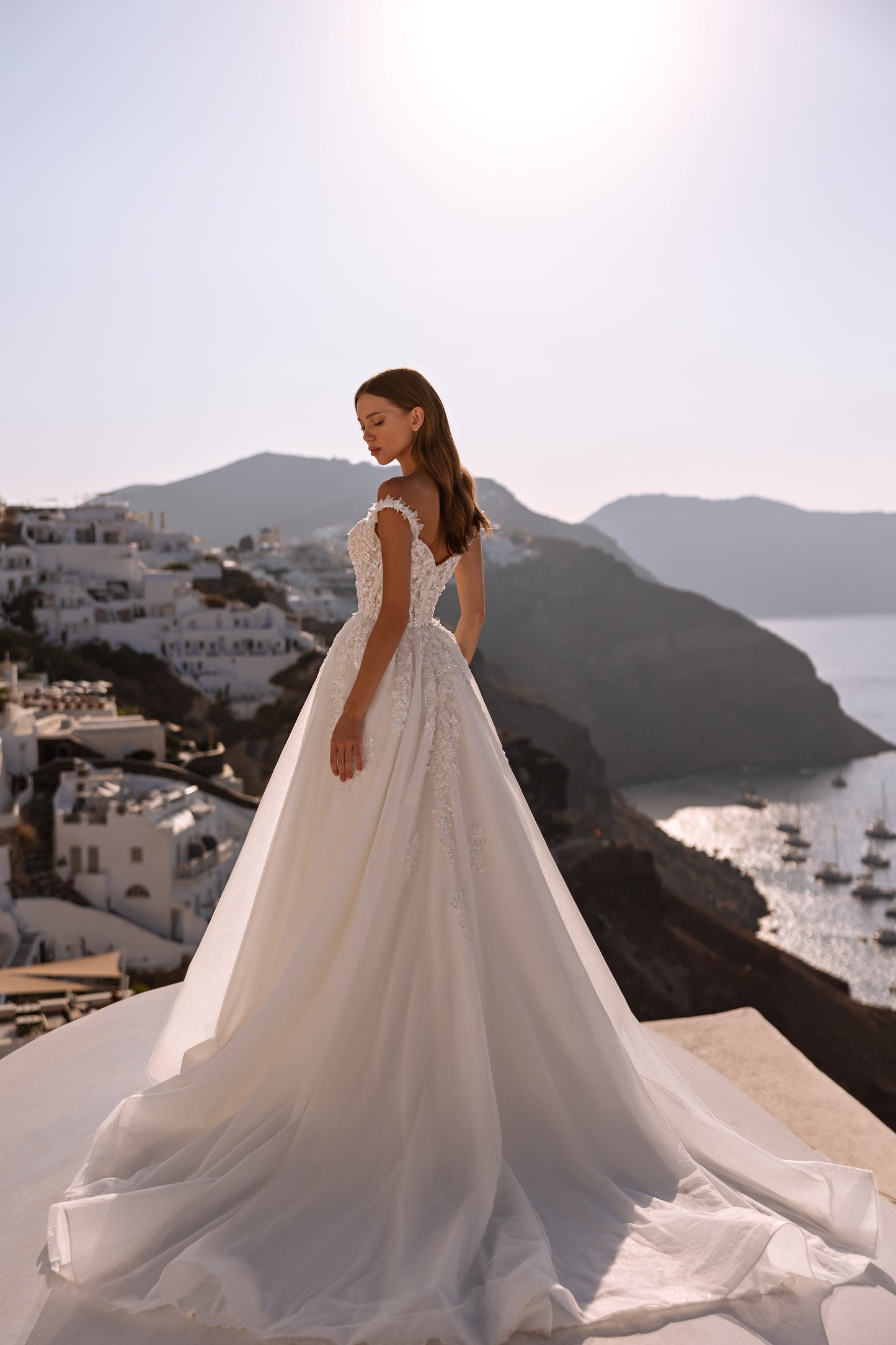 Princess A-line tulle wedding dress with chapel train and lace