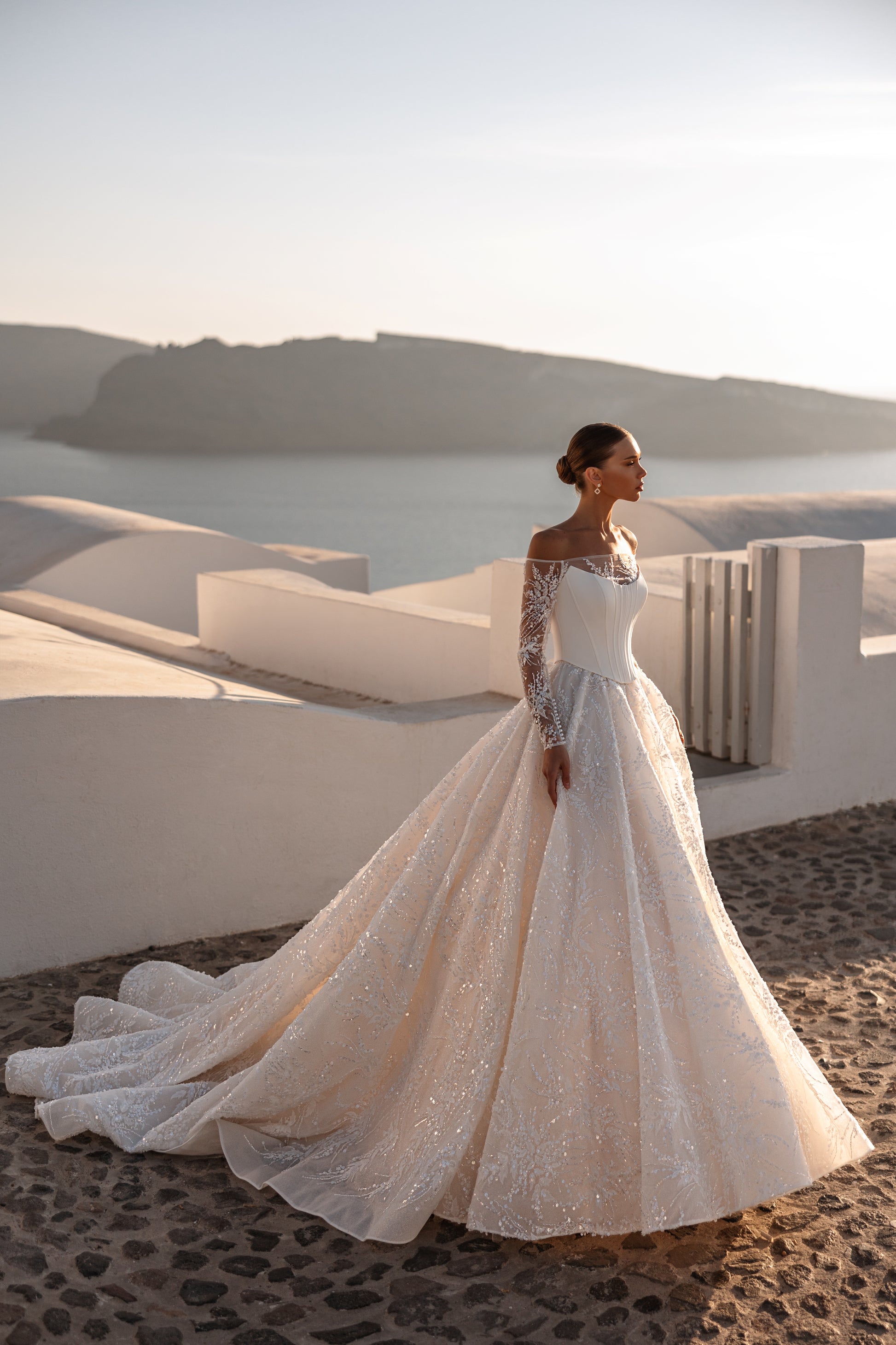 Princess A-Line Wedding Dress with Illusion Sleeves & Cathedral Train Think Bridal Princess A-Line Wedding Dress with Illusion Sleeves & Cathedral Train Think Bridal