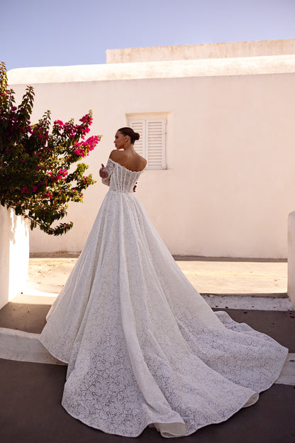 Princess A-line wedding dress with lace and cathedral train