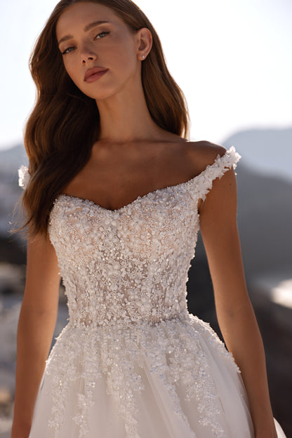Princess A-line tulle wedding dress with chapel train and lace