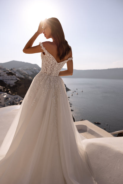 Princess A-line tulle wedding dress with chapel train and lace
