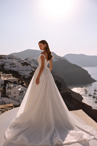 Princess A-line tulle wedding dress with chapel train and lace