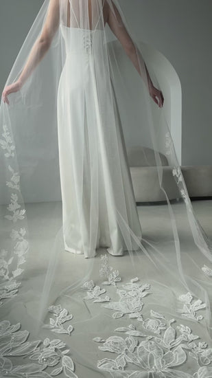 Veil V-2501 video